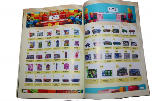 PAGES FROM 29 TO 43
