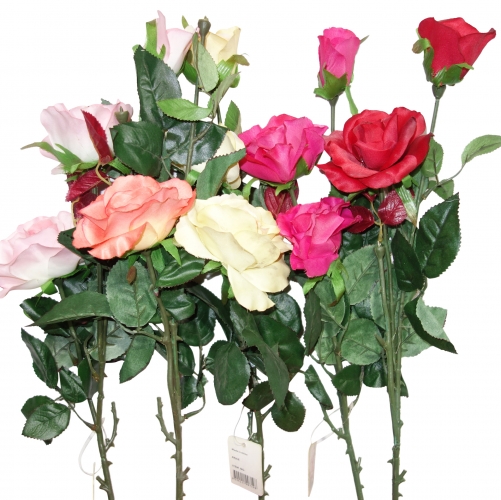 ROSE BLOOM THREE HEAD