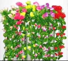 HANGING ROSES