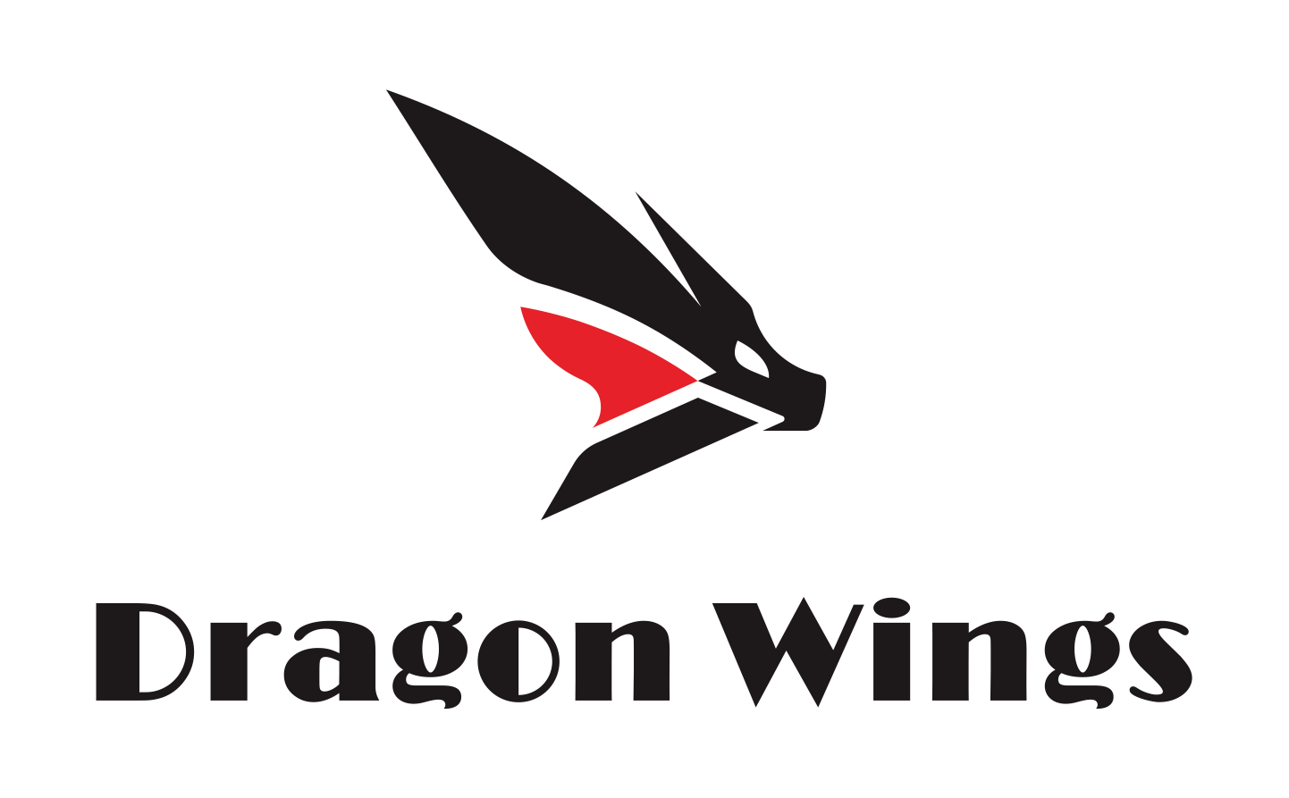 dragon-wings.com