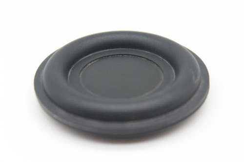 P50O-00R0-00 (2" Passive Radiator)