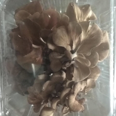 300g Fresh Maitake