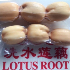 Lotus Root