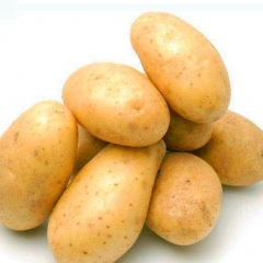 Fresh Potato