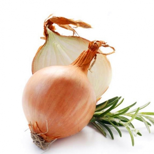 Fresh Yellow Onion