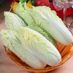 Long Cabbage