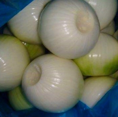 Fresh Peeled Onion