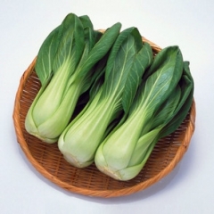 Fresh Pak choi Cabbage