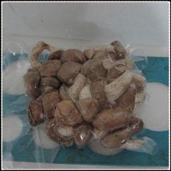 200g vacumm shiitake for Vietnam, Singapore