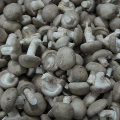 200g vacumm shiitake for Vietnam, Singapore