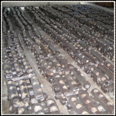 Flower Shiitake for export