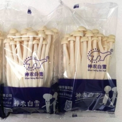 Retail Haixian Mushroom| Shennong Brand