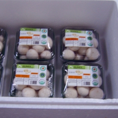 White button Mushroom for export| Bulk, retail packing