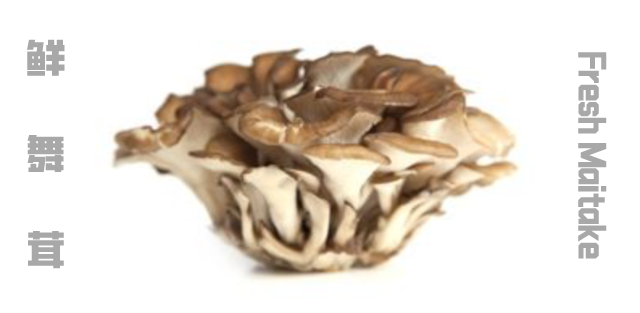 Hot-Pot Choice: Fresh Maitake Mushroom