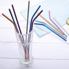 Stainless Steel Straw Set