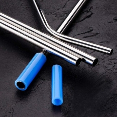 Stainless Steel Straw Kits