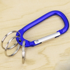 Carabiner Keychain