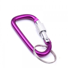 Carabiner Lock Keychain