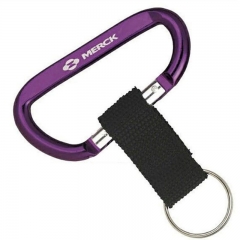 Carabiner Keyholder