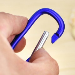 Carabiner Keychain