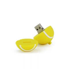 USB Flash Drives