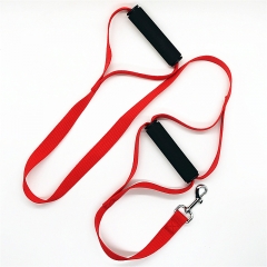 Double Handle Dog Leash