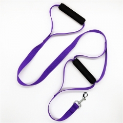 Double Handle Dog Leash