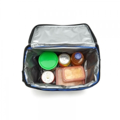 Cooler Bag