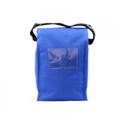 Insulated Lunch Bag