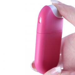 Hand Sanitizer Spray Case