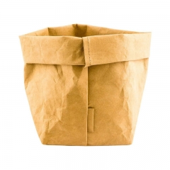 Paper Food Bag