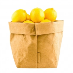 Paper Food Bag