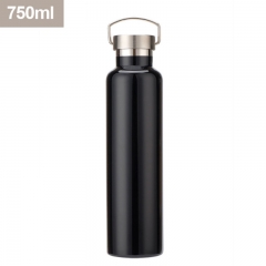 Insulated Stainless Steel Bottle