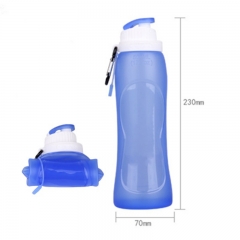 Collpsible Water Bottle