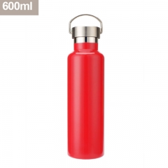 Insulated Stainless Steel Bottle