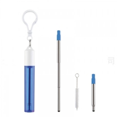 Collapsible Stainless Steel Straw Kit