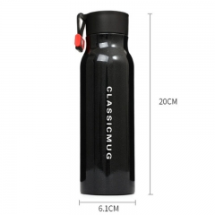 Stainless Steel Bottle