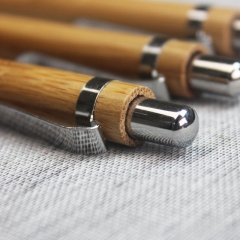 Bamboo Pen