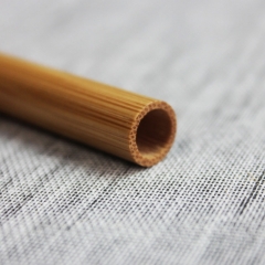 Bamboo Pen