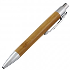 Bamboo Pen