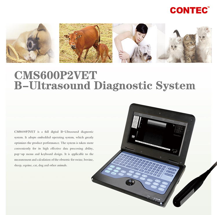 Free Shipping CONTEC CMS600P2VET Notebook Veterinary B-ultrasound ...