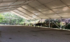 Giant Open Tents for Horse Riding | Horse Riding Tents