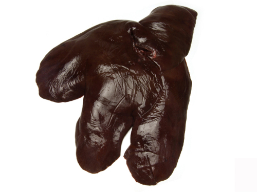 猪肝 liver