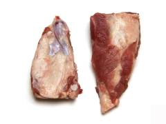 猪胸骨 breast bone