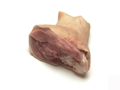 猪后肘 hind hock