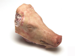 去耳猪头 heads without ear