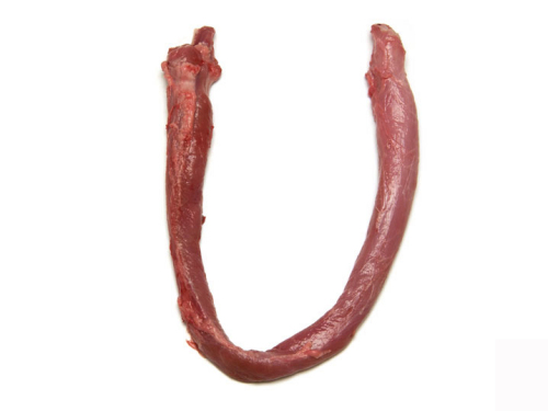 猪食管 esophragus