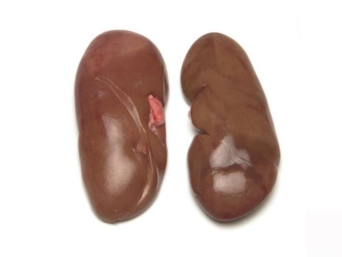猪腰 kidney
