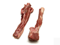 猪尾骨 tail bone