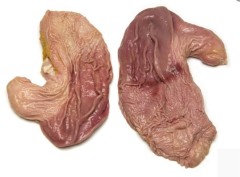 猪生圆肚 raw stomach pouch cut